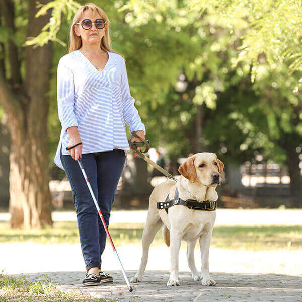 Disabled woman in wheelchair with her pet dog