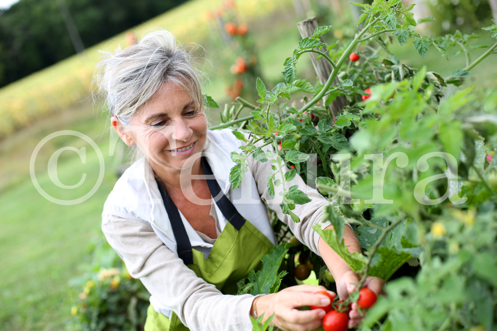 gardening-therapy-with-tenura