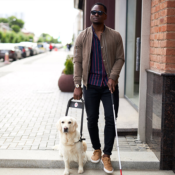 Assistive Animal, Guide Dog Helping a Blind Man