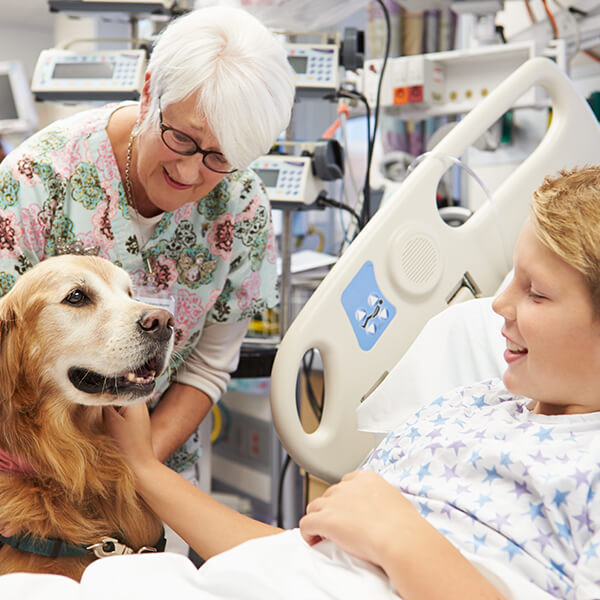 Assistive Animal, Medical Detection Dog at Hospital with Child