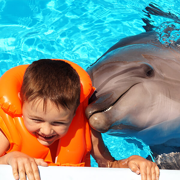 Assistive Psychotherapy Animal Helping a Disabled Boy