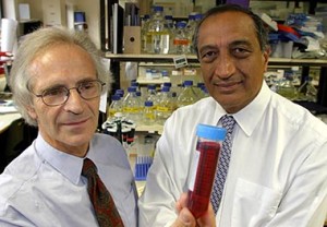 marc-feldmann-and-ravinder-maini-300x208