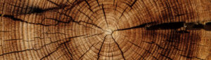 Wood for place mat