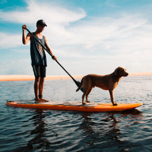 Dog Supporting a Man Paddle Boarding