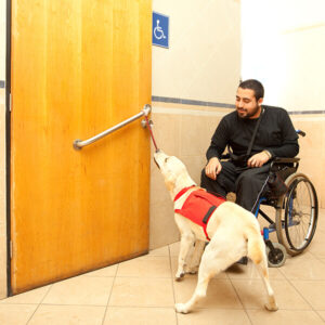 Man in Wheelchair with Dog Opening Doors