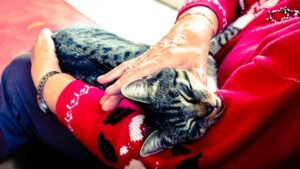 Elderly Person with Pet Cat