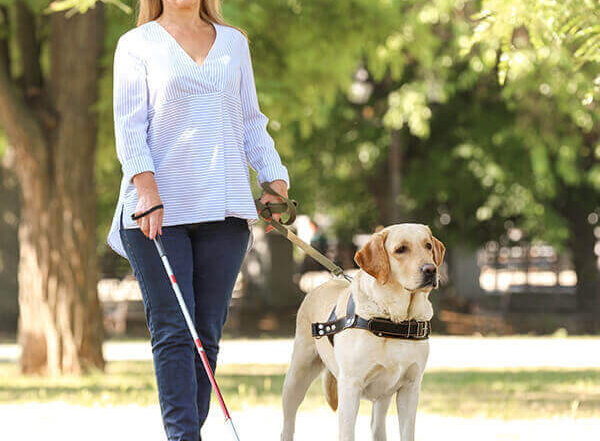 Disabled Lady with Pet Dog