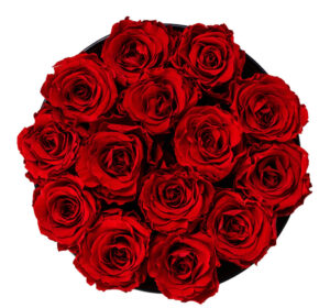 A circular bouquet of vibrant red roses arranged closely together, viewed from above on a white background.