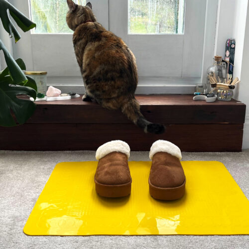 T-FLOOR-60-3-Yellow-Floor-Mat-Slippers-Cat.jpg