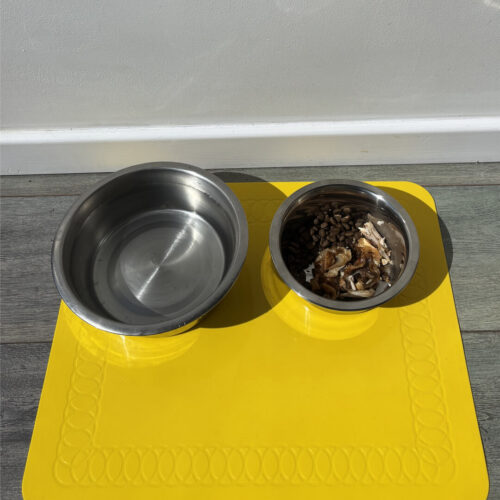 T-FLOOR-60-3-Yellow-Floor-Mat-Dog-Bowls.jpg
