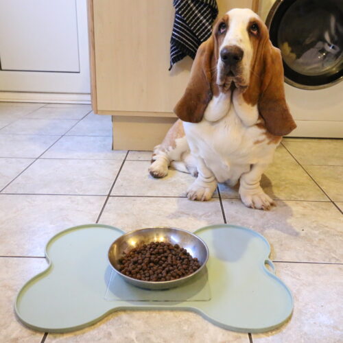 T-EG-1 Clear Extreme Mat Used on Dog Food Tray with Dog-3