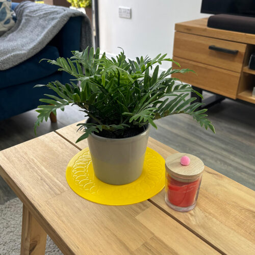 TC-19-3-Yellow-Circular-Coaster-Plant.jpg