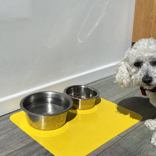 T-FLOOR-60-3-Yellow-Floor-Mat-Dog-with-Bowls-2.jpg