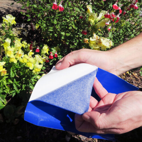 Blue Grip Roll-Being Peeled-Gardening Background 2