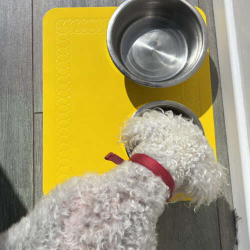 T-FLOOR-60-3-Yellow-Floor-Mat-Dog-Eating-2.jpg