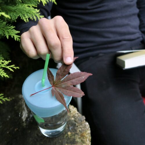 T-CC-1-8cm-CupCap-Garden-Halloween-Autumn-7