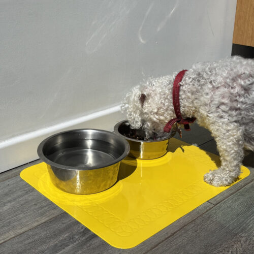 T-FLOOR-60-3-Yellow-Floor-Mat-Dog-Eating-Food.jpg
