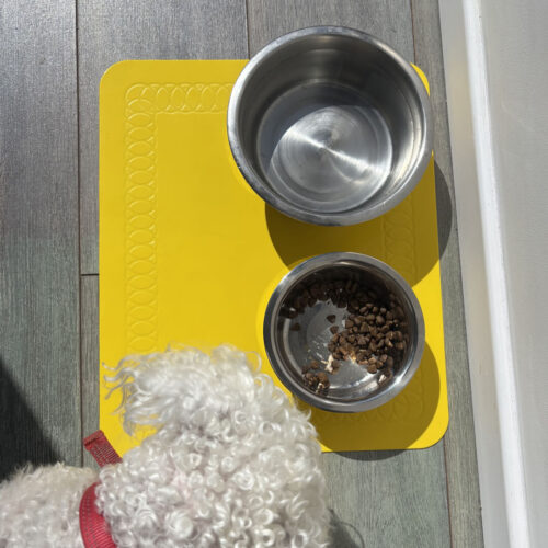 T-FLOOR-60-3-Yellow-Floor-Mat-Dog-with-Bowls.jpg